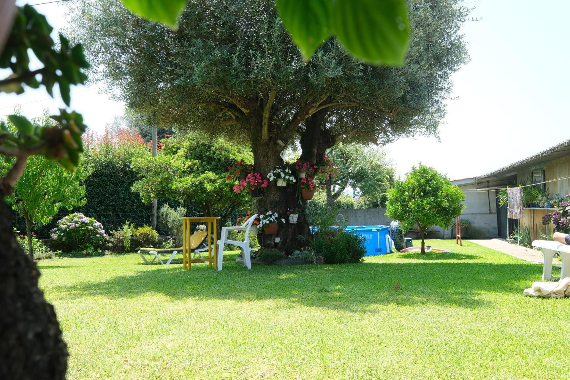 Quintinha D'Avo Bed and Breakfast Vila de Prado Eksteriør billede